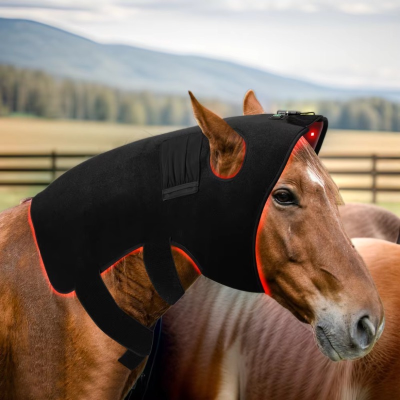 Pet Supplies Near - Red Light Vet Therapy for Horses