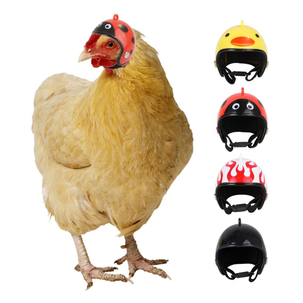 Pet X Supplies & Tack - ABS Pet Supplies Funny Pet Protective