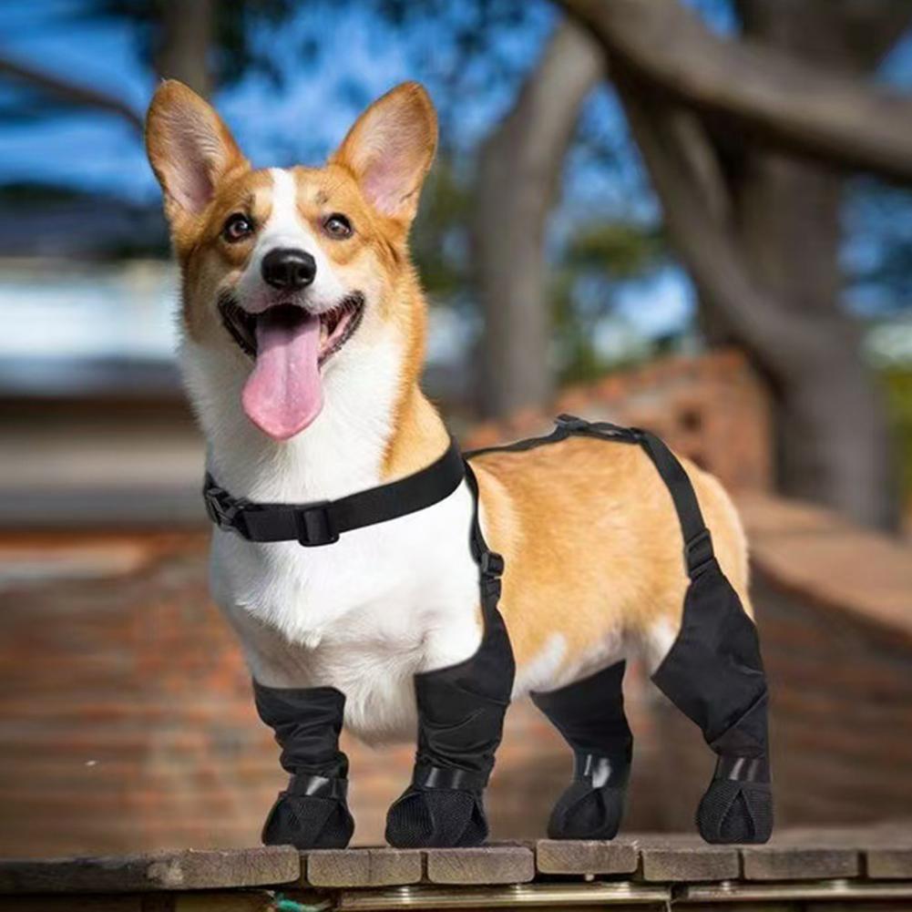 Dog Booties Paw Protector - Dog Rain Boots Suspender Waterproof Paw