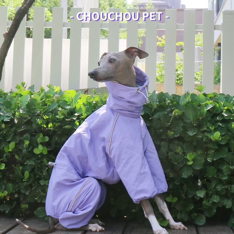 Italian Greyhound Raincoat Aut - Dog Raincoat review and price