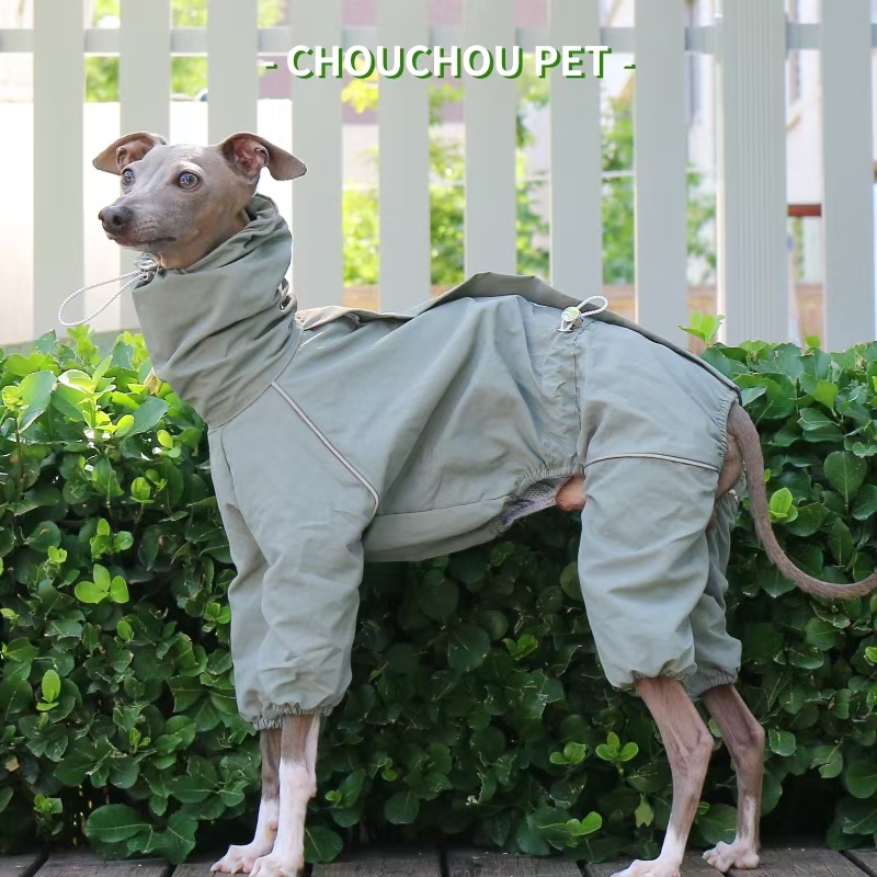 Italian Greyhound Raincoat Aut - Dog Raincoat review and price