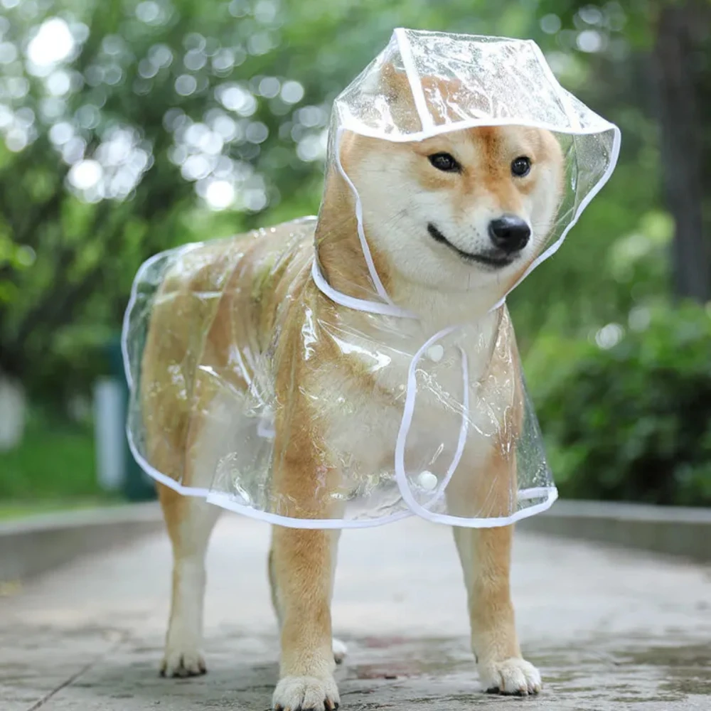 Dog Raincoat Puppy Transparent - Dog Raincoat review and price