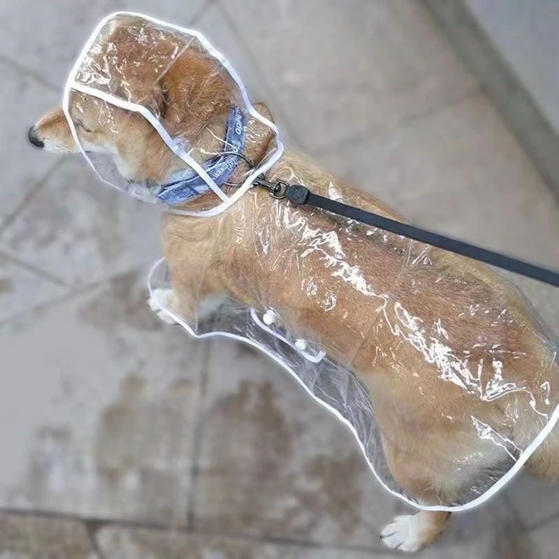 Dog Raincoat Puppy Transparent - Dog Raincoat review and price
