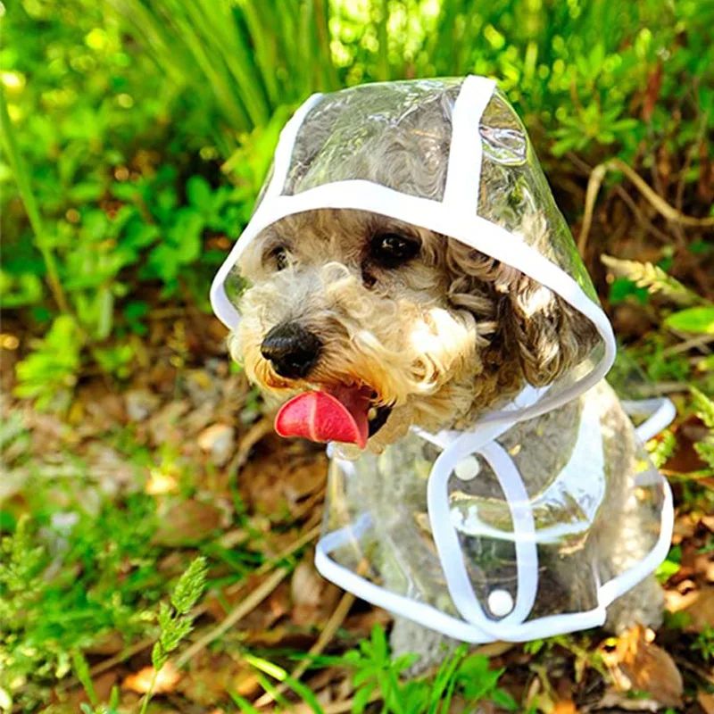 Dog Raincoat Puppy Transparent - Dog Raincoat review and price