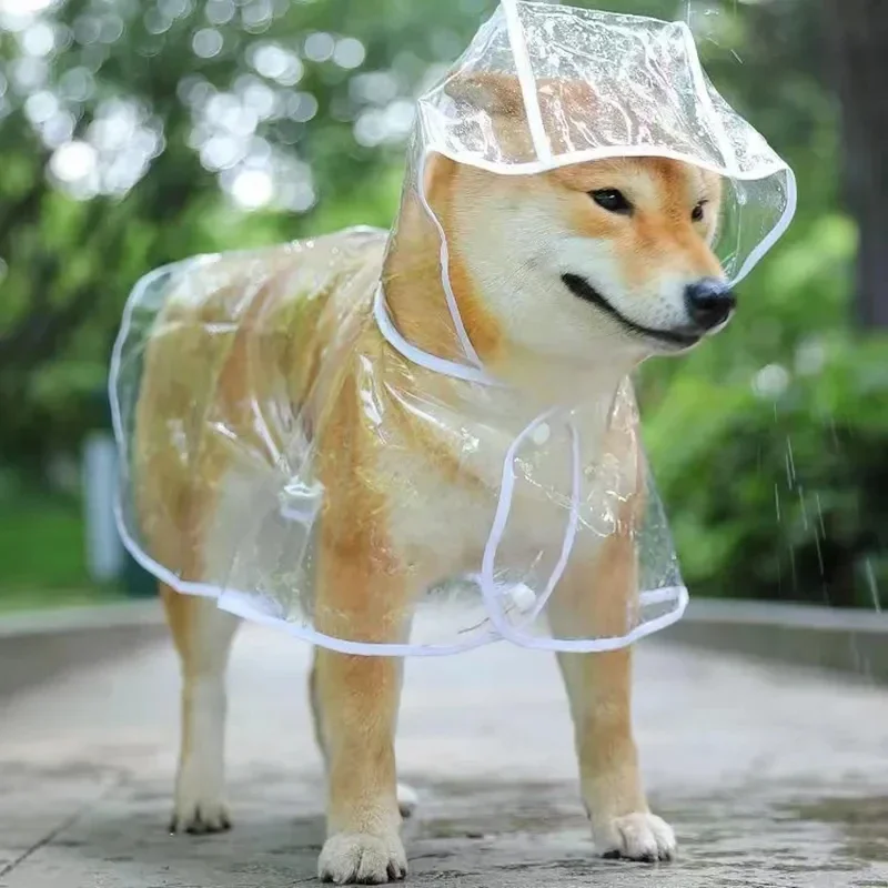 Dog Raincoat Puppy Transparent - Dog Raincoat review and price