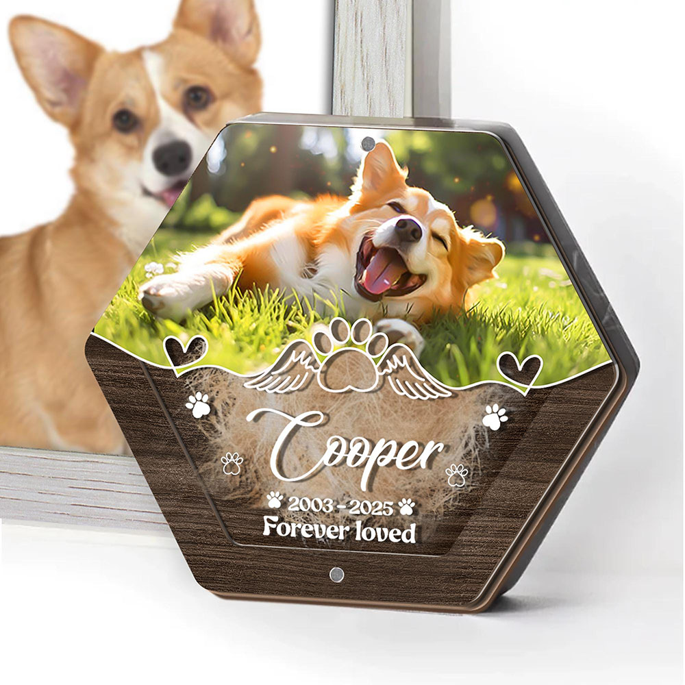 Personalized Name Wooden Carvi - Pet Supplies Stores review and price