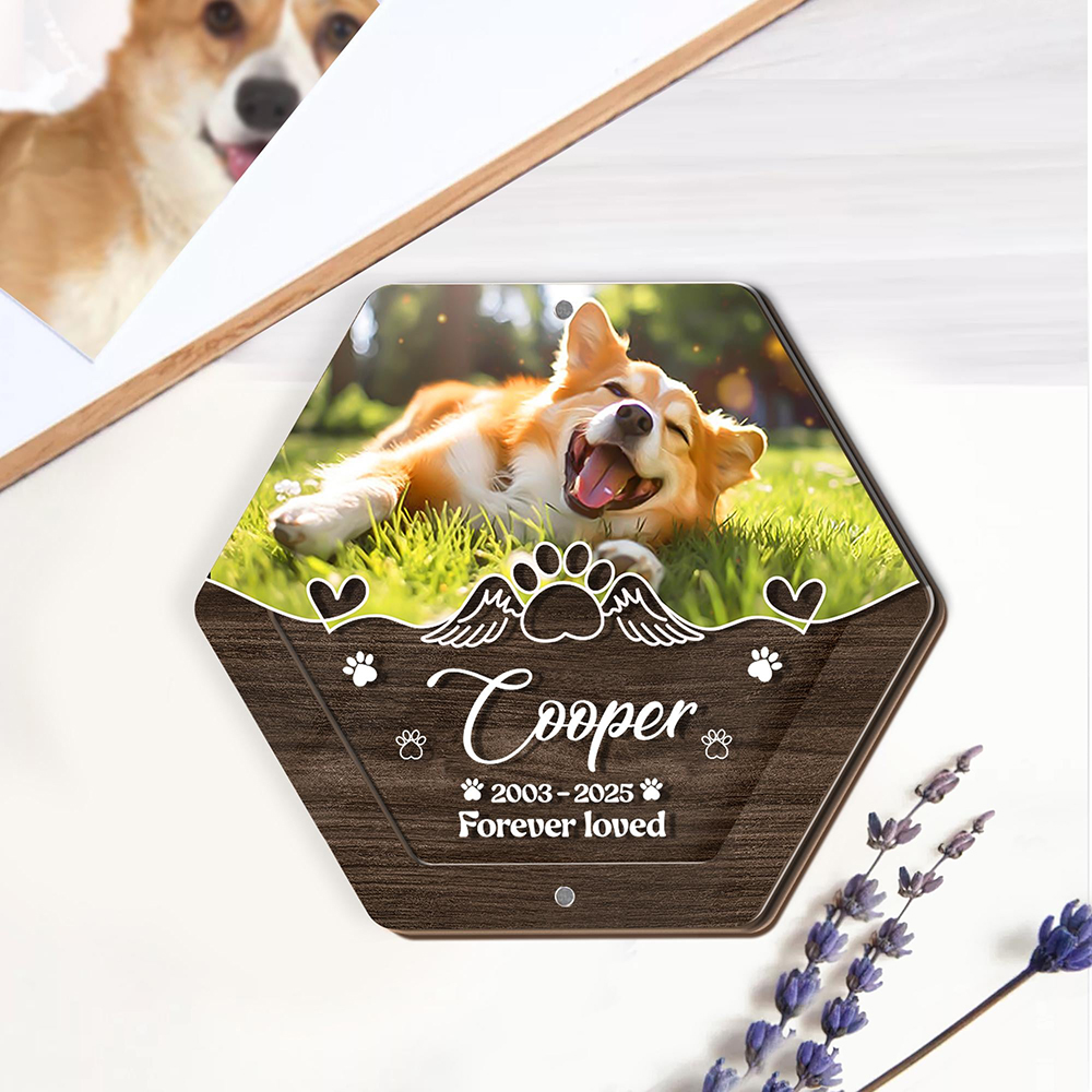 Personalized Name Wooden Carvi - Pet Supplies Stores review and price