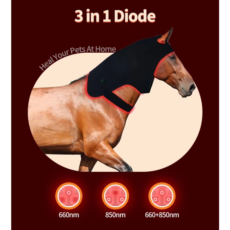 Red Light Vet Therapy for Hors - Pet Supplies Near review and price