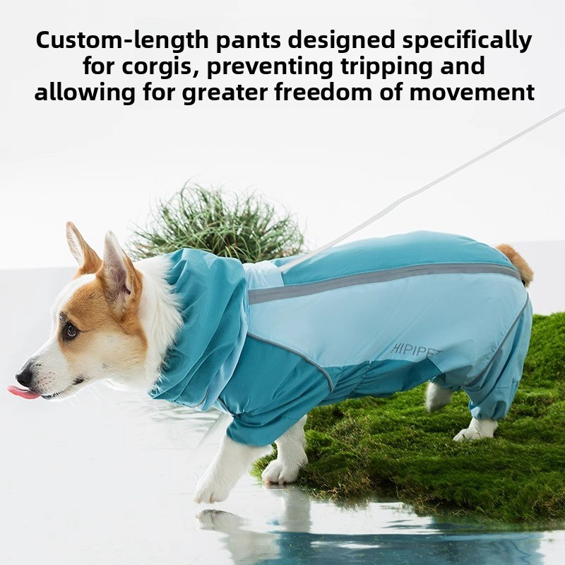 2026 Full Coverage Color Block - Dog Raincoat review and price