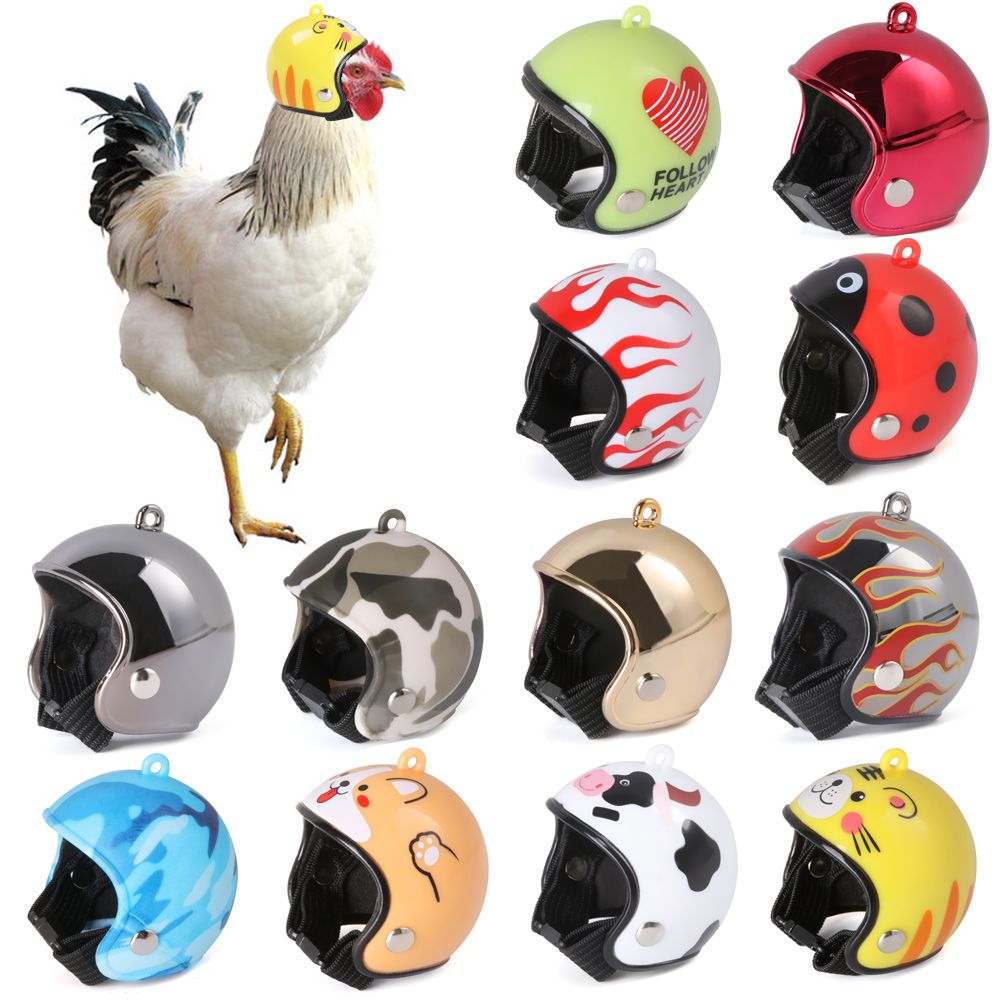 ABS Pet Supplies Funny Pet Pro - Pet X Supplies & Tack review and price