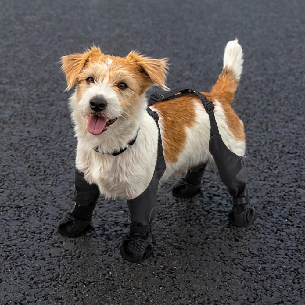 Anti-fall Waterproof Dog Shoes - Dog Booties Paw Protector review and price