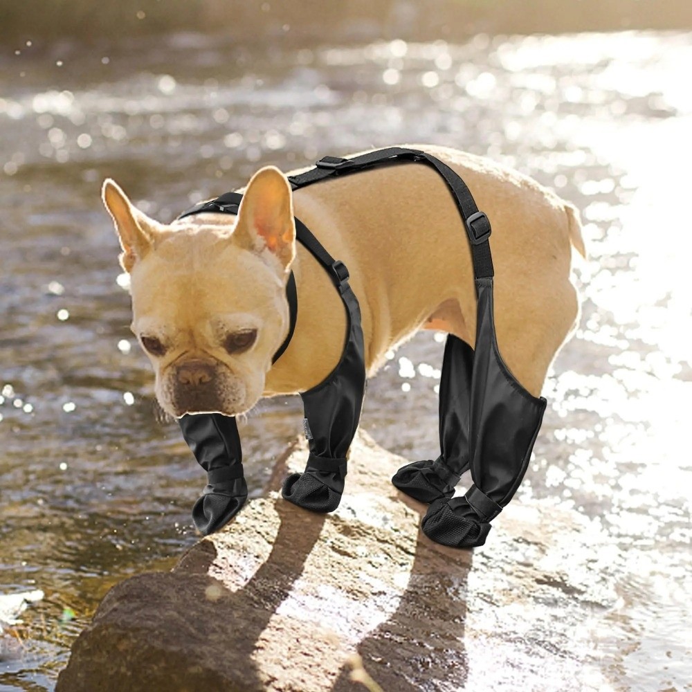 Anti-fall Waterproof Dog Shoes - Dog Booties Paw Protector review and price