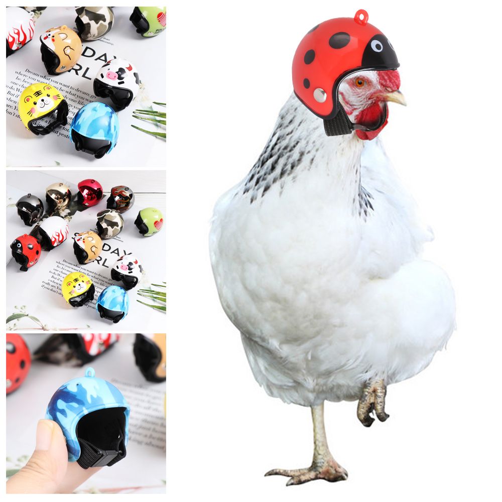 ABS Funny Pet Supplies Pet Pro - Pet X Supplies & Tack review and price