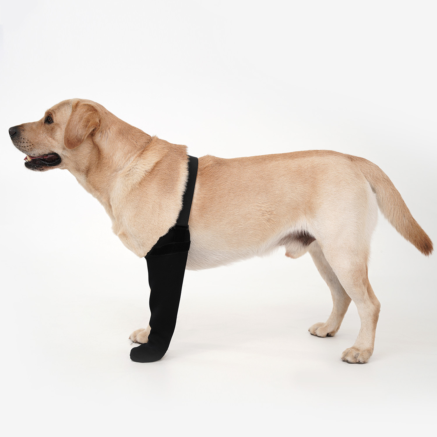 Waterproof Single Leg Dog Sock - Dog Raincoat review and price