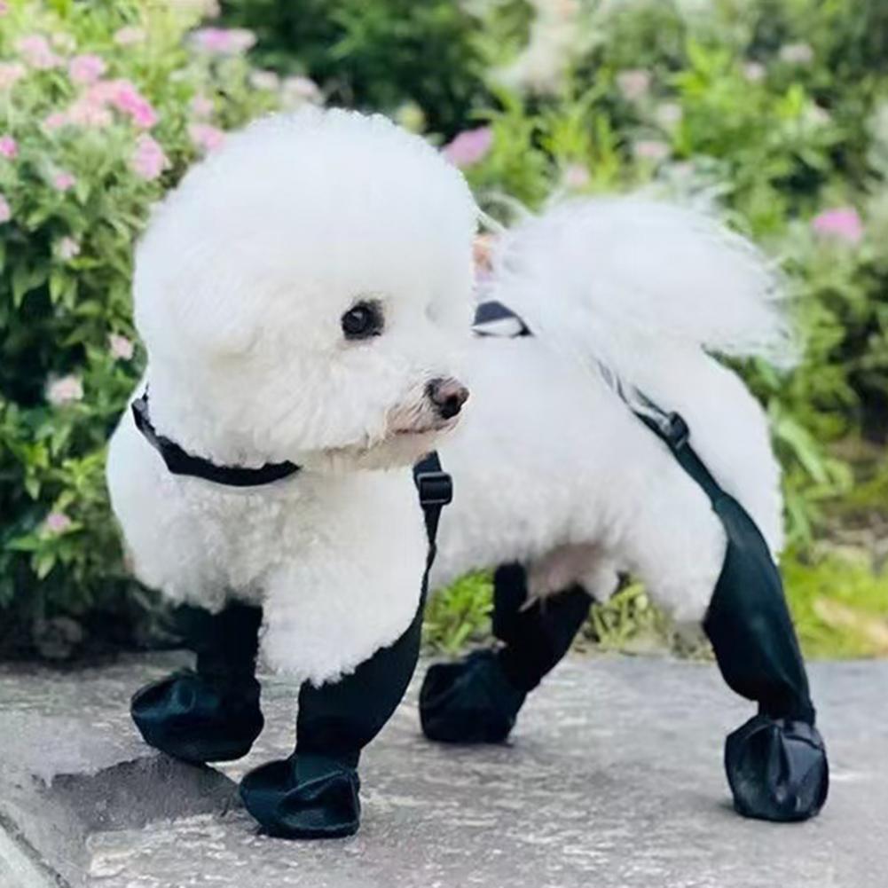 Dog Rain Boots Suspender Water - Dog Booties Paw Protector review and price