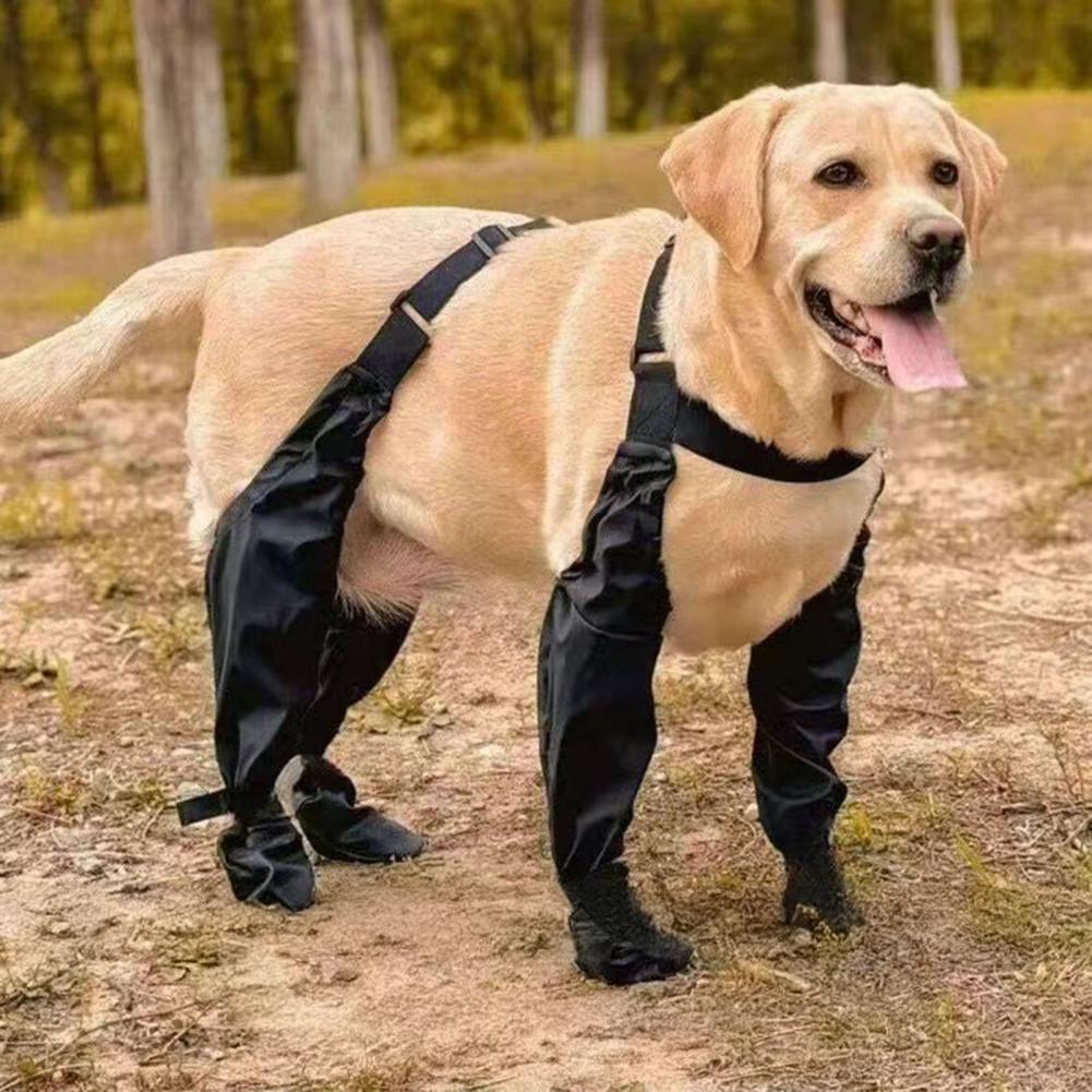Dog Rain Boots Suspender Water - Dog Booties Paw Protector review and price