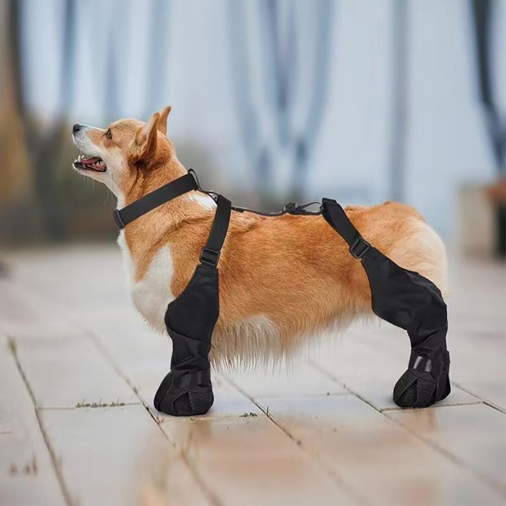 Dog Rain Boots Suspender Water - Dog Booties Paw Protector review and price